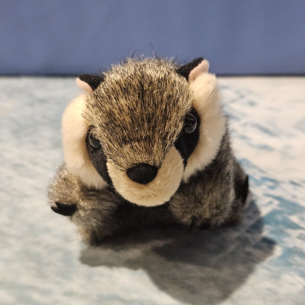 Folkmanis Raccoon Finger Puppet Plush 4"‎ 17-YM-016 - Picture 4 of 9